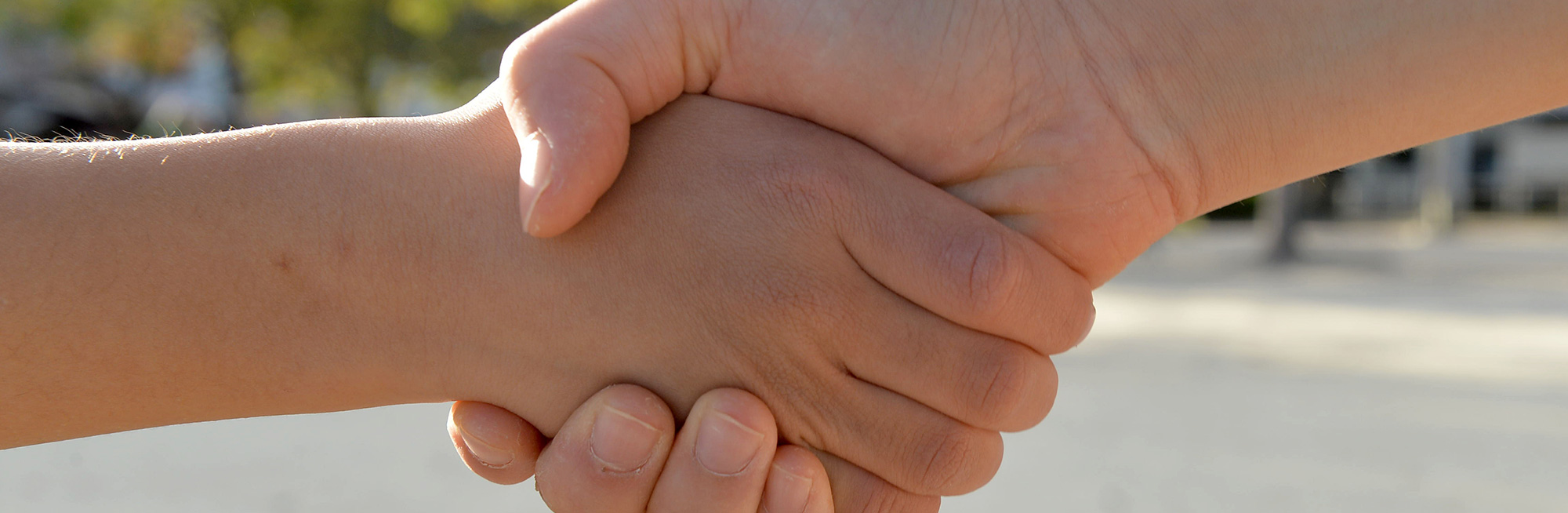 支援者拡大支援・選挙関連サービス