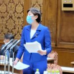 参議院内閣委員会で初質問（2022/11/8）のイメージ
